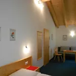 Pfeifer Appartement *