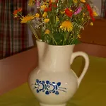 Pfeifer *